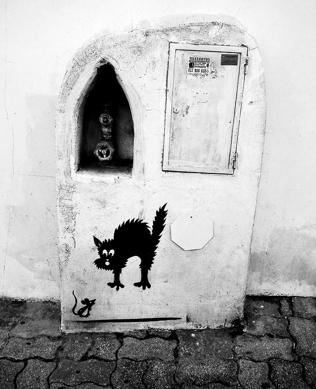 Ada Wanders/Włóczykijada. Street Art in Lagos. Monochromatic terrified cat with a mouse.