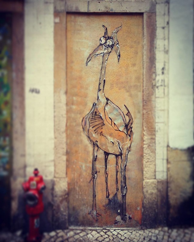 Ada Wanders/Włóczykijada. Street art: picture of the ostrich on the wall in Lisbon.