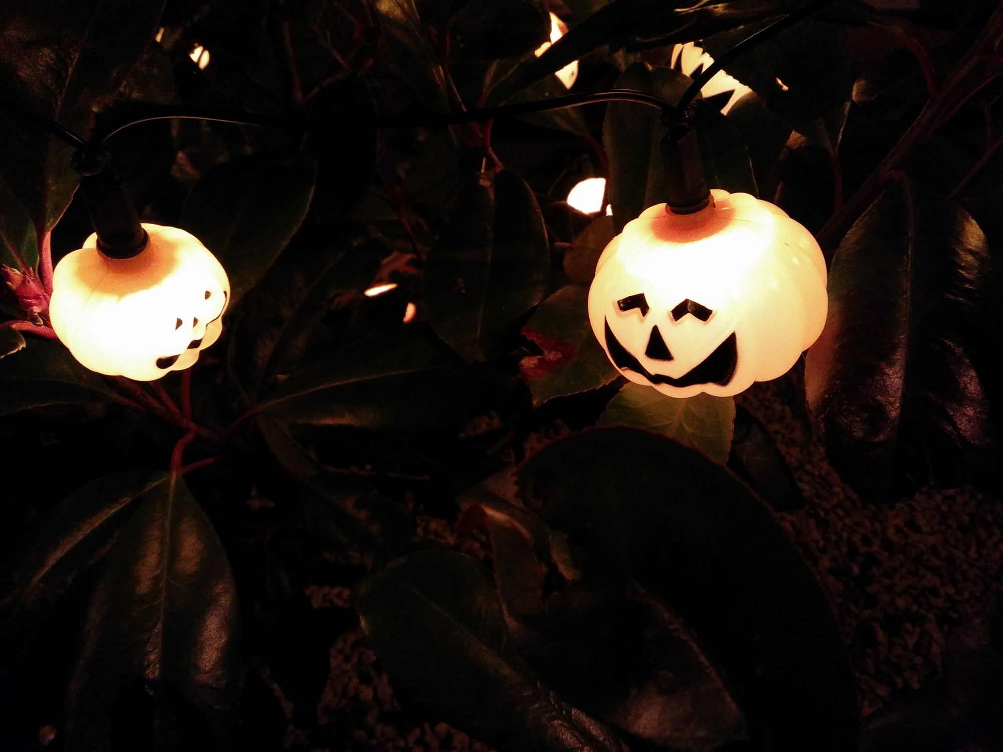 Lampiony na Halloween zrobione z plastikowych dyni.